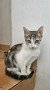 Roxy (3)